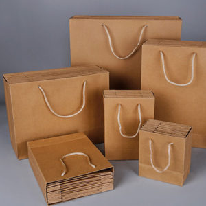 Shopping kraft paper bag